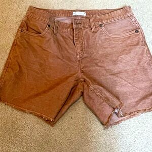 Carve Oahu shorts 6” inseam